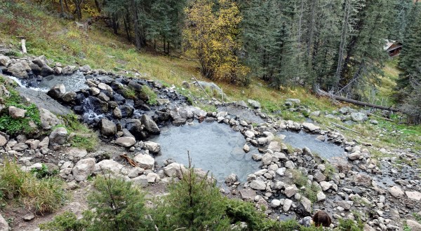 This New Mexico Trail Leads To An Epic Hot Spring And You’ll Want To Take It