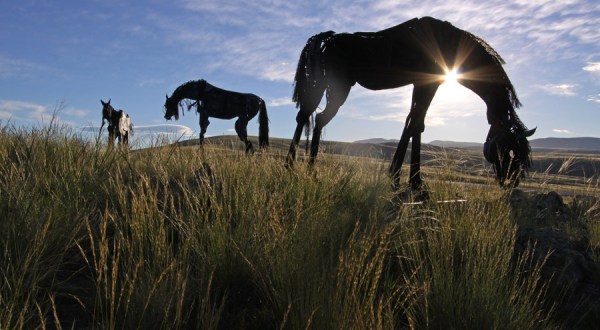 Most People Don’t Know The Enchanting Story Behind Montana’s Most Famous Horses