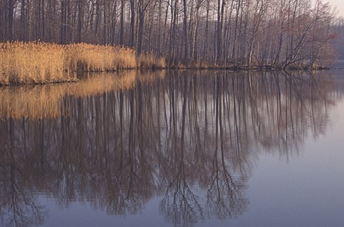 This Pond In Delaware Has A Dark And Evil History That Will Never Be Forgotten
