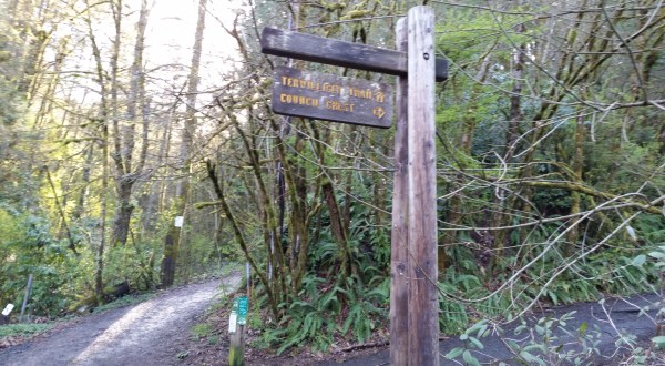 This Just Might Be The Most Beautiful Hike In All Of Portland