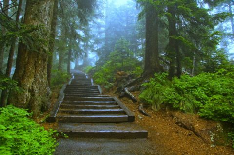 This Easy Half-Mile Hike In Oregon Will Lead You Straight To A Spectacular Lookout