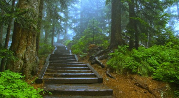 This Easy Half-Mile Hike In Oregon Will Lead You Straight To A Spectacular Lookout