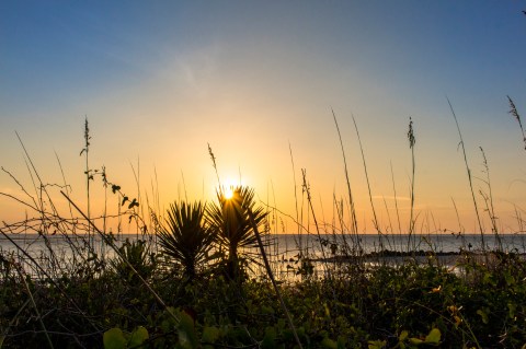 Take This Sunrise Hike To One Of The Most Beautiful Points In South Carolina
