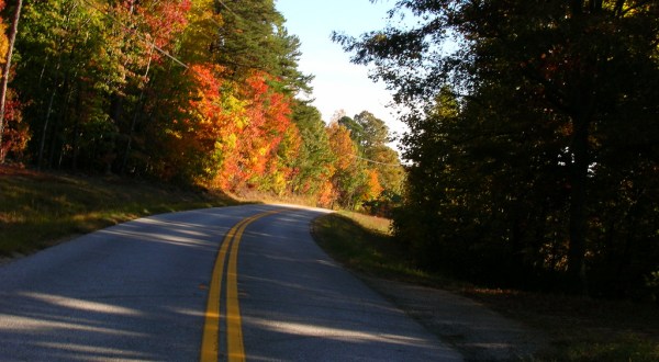 8 Country Roads In Georgia That Are Pure Bliss In The Fall