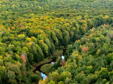 This Just Might Be The Most Beautiful Hike In All Of Michigan