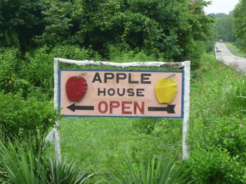 Carver Orchards Is A Charming Apple Orchard In Tennessee That Is Great For A Fall Day