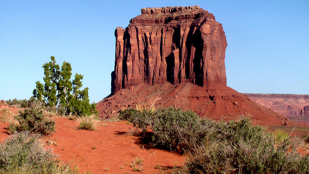 Arizona banner image