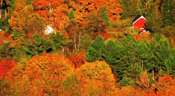 13 Questions You Can Only Answer If You’re From Vermont