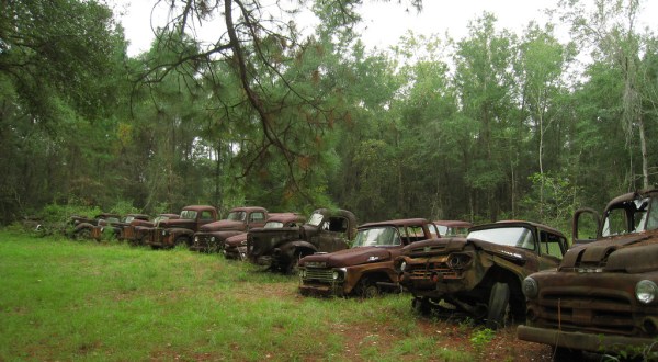 Step Inside This Eerie Graveyard In Florida Where Automobiles Go To Die