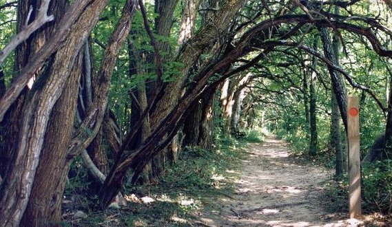 Hike Through A Stunning Tunnel Of Trees At Sugarcreek MetroPark In Ohio