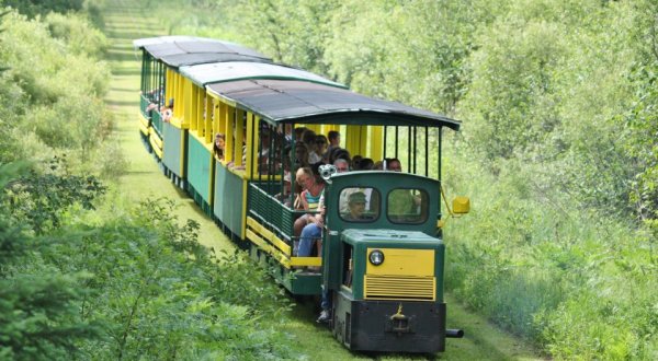 There’s A Magical Trolley Ride In Michigan That Most People Don’t Know About