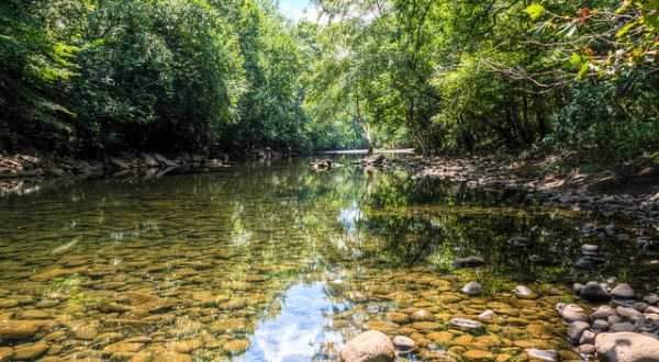 These 5 Amazing Spots Near Nashville Are Perfect To Go Fishing
