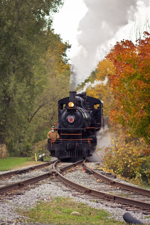Take A Fall Foliage Train Ride Through New York On The Arcade And Attica Railroad