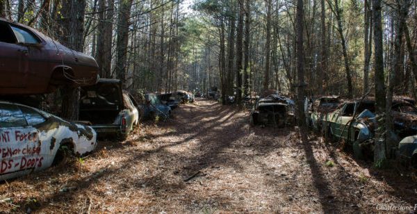 Step Inside This Eerie Graveyard In Georgia Where Automobiles Go To Die