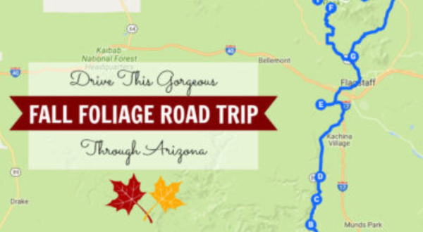 Take This Gorgeous Fall Foliage Road Trip To See Arizona Like Never Before