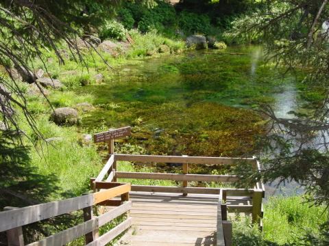 Everyone in Idaho Should Visit This Epic Natural Spring As Soon As Possible