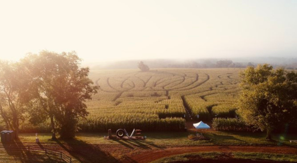 Get Lost In These 10 Awesome Corn Mazes Around Washington DC This Fall