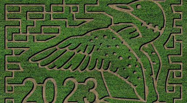 Get Lost In These 16 Awesome Corn Mazes In Minnesota This Fall