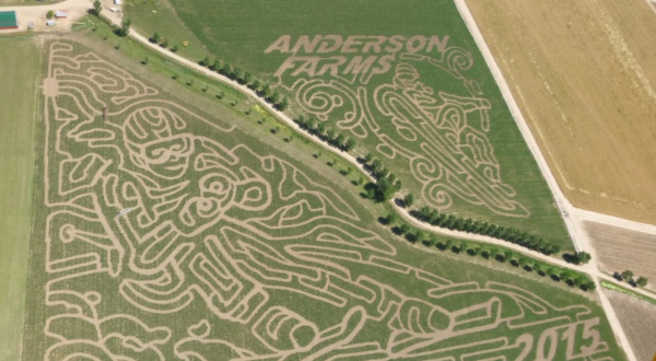 Get Lost In These 8 Awesome Corn Mazes Around Denver This Fall