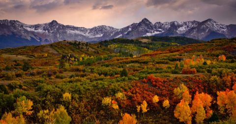Take This Gorgeous Fall Foliage Road Trip To See Colorado Like Never Before