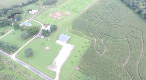 Get Lost In These 10 Awesome Corn Mazes In Illinois This Fall