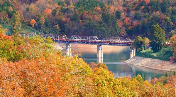 Take This Fall Foliage Train Ride Through North Carolina For A One-Of-A-Kind Experience