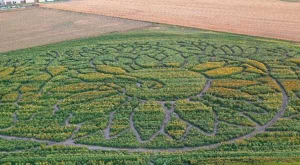 Get Lost In These 10 Awesome Corn Mazes In Idaho This Fall