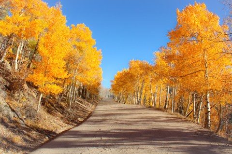 You'll Want To Take This Gorgeous Fall Foliage Road Trip Outside Of Denver...And Soon