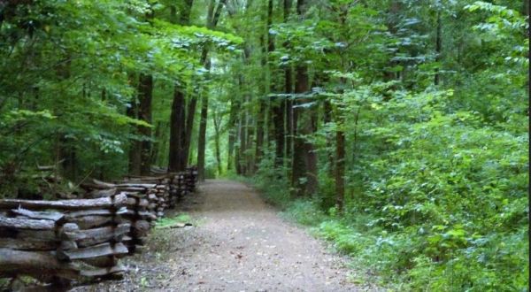 8 Easy Hikes To Add To Your Outdoor Bucket List In Indiana