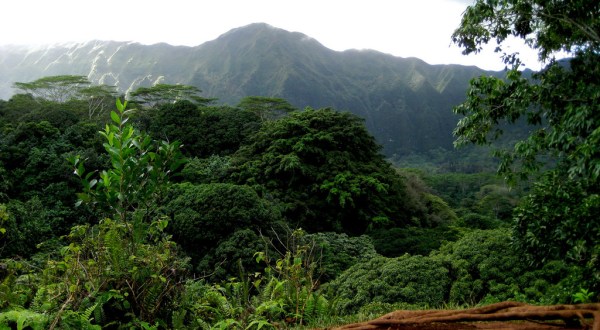 This Just Might Be The Most Beautiful Hike In All Of Hawaii