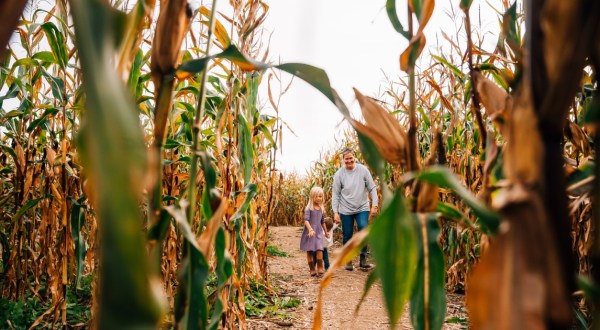 Get Lost In These 8 Awesome Corn Mazes In New Hampshire This Fall