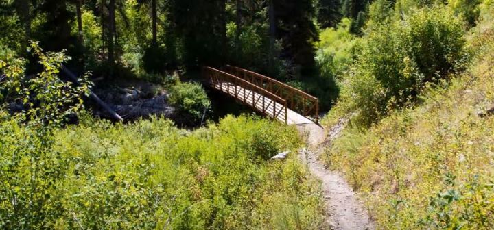 Palisades Creek Trail - Idaho