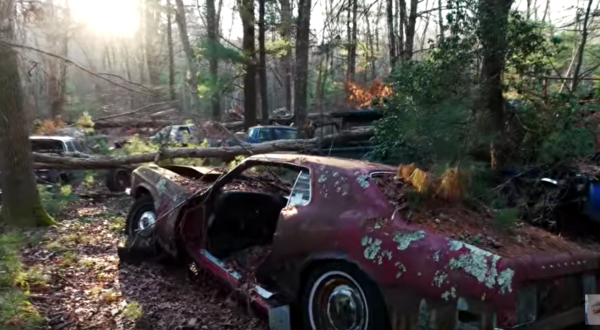 There’s A Unique Boneyard Hiding In The Forest Where Vehicles Go To Die