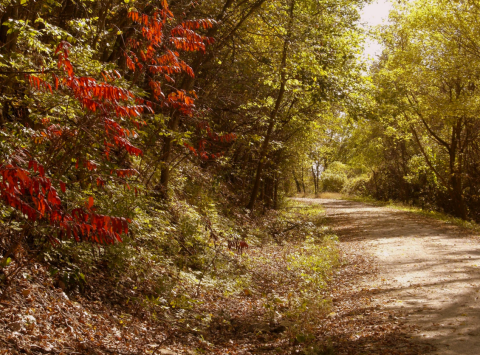 The Nation's Longest Rail Trail Is Right Here In Missouri And It's Positively Marvelous