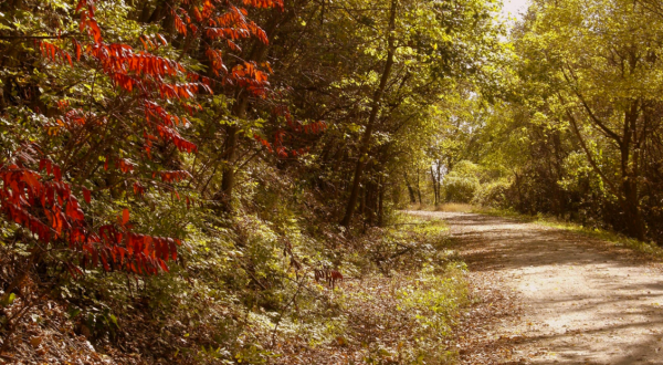 The Nation’s Longest Rail Trail Is Right Here In Missouri And It’s Positively Marvelous