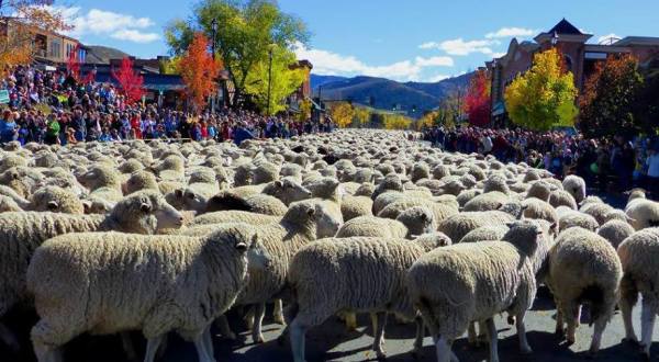 11 Unique Fall Festivals In Idaho You Won’t Find Anywhere Else