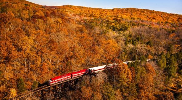 Take This Fall Foliage Train Ride Through Kentucky For A One-Of-A-Kind Experience