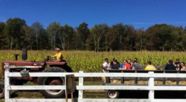 Get Lost In These 8 Awesome Corn Mazes In Rhode Island This Fall