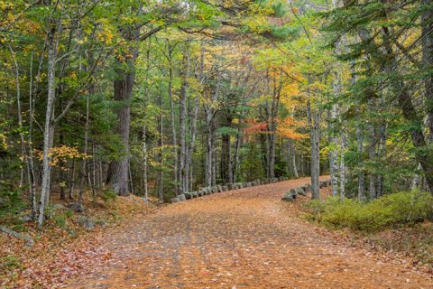 This Just Might Be The Most Beautiful Hike In All Of Maine