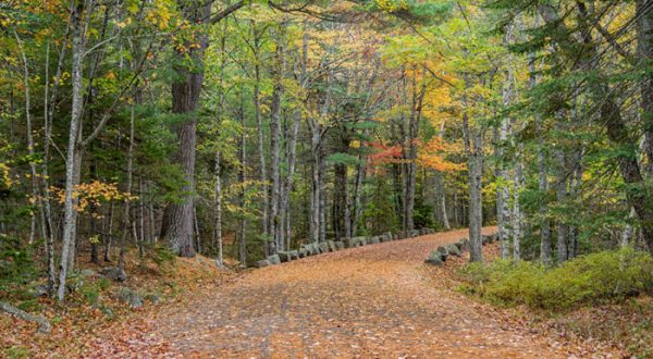 This Just Might Be The Most Beautiful Hike In All Of Maine