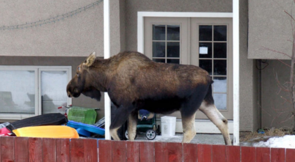 26 Struggles Everyone In Alaska Can Relate To