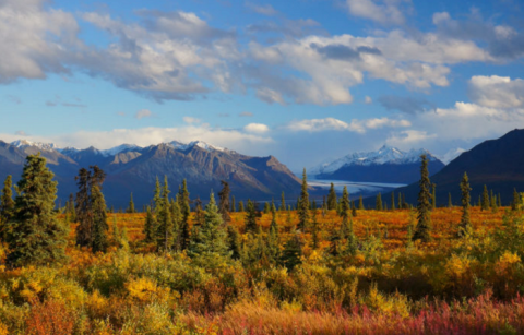 The Largest National Park In America Is Located Right Here In Alaska, And It's Stunning