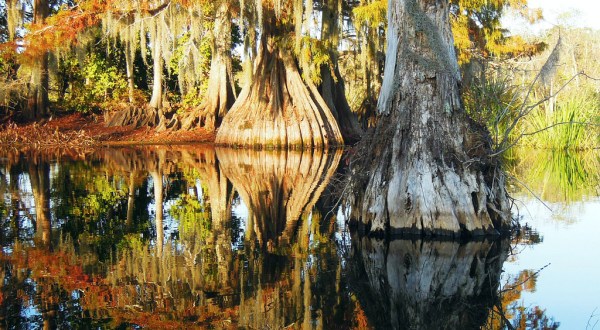 This Just Might Be The Most Beautiful Hike In All Of Louisiana