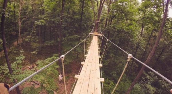 The Stomach-Dropping Canopy Walk You Can Only Find In Connecticut