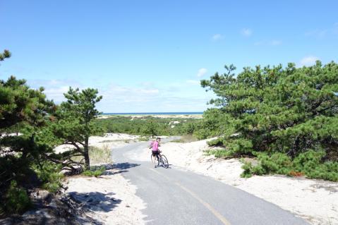 Now Is The Best Time To Hike This Remarkable Sand Dune Trail In Massachusetts