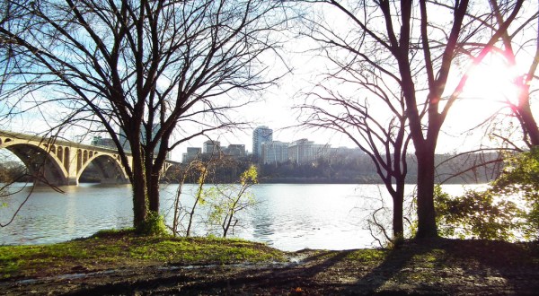 6 Trails In Washington DC You Must Take If You Love The Outdoors