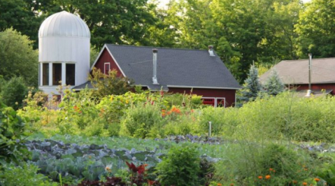 You Must Visit These 10 Connecticut Farms Before You Die