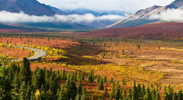 23 Gorgeous Spots To See Fall Foliage That Will Show You Alaska Like Never Before
