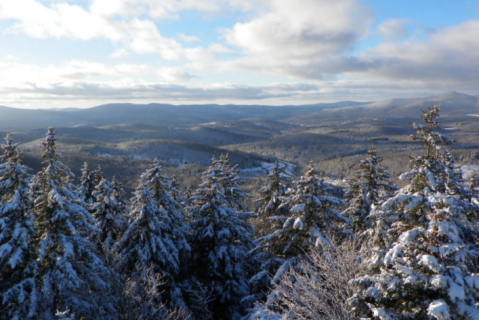 11 Easy Hikes To Add To Your Outdoor Bucket List In Vermont