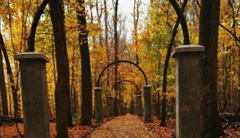 This Abandoned Theme Park In Indiana Is A Secret Only Locals Know About